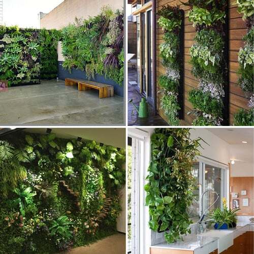 1+1 Free | Easy-Install Greenery Solution
