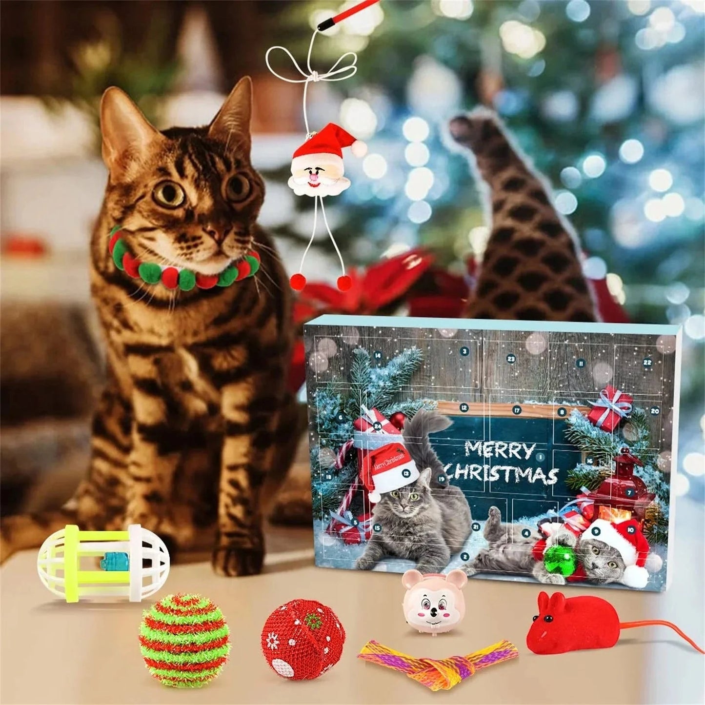 Advent calendar for cats | 24 lovingly selected toys